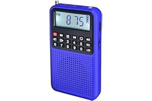 Portable Radio Bluetooth Speaker - FM/AM Radio, TF Card Player & Voice Recorder with LED Flashlight Blue