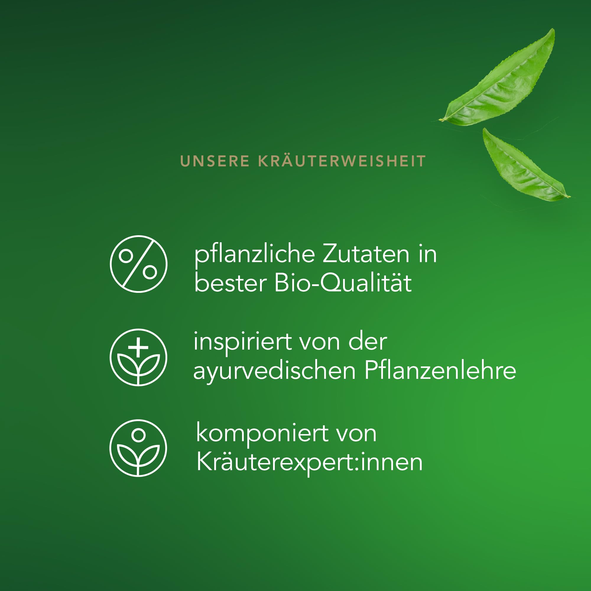 Pukka | Bio Kräutertee "Supreme Matcha Green" | Grüntee & Matcha | Grüner Tee für frische am Morgen | 1er Pack | 20 Teebeutel 6