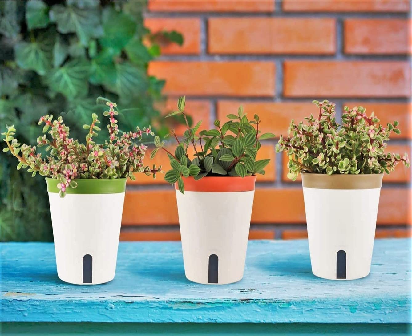 LATERN 3Pcs Self Watering Planter Pot, 12.5CM Round Plastic Plant Pot Garden Flower Bonsai Pots for Aloe Herb Orchid Succulent Plants - with Water Level Window and Drainage Hole Hidden Tray