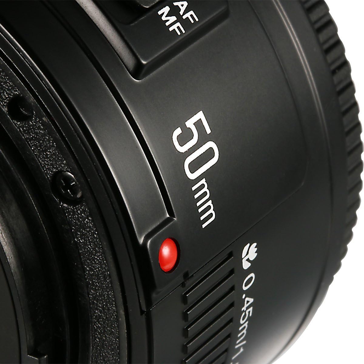 Yongnuo YN 50mm F/1.8 AF/MF Large Aperture Auto Focus Lens for Canon EF Mount EOS Camer - Image 5
