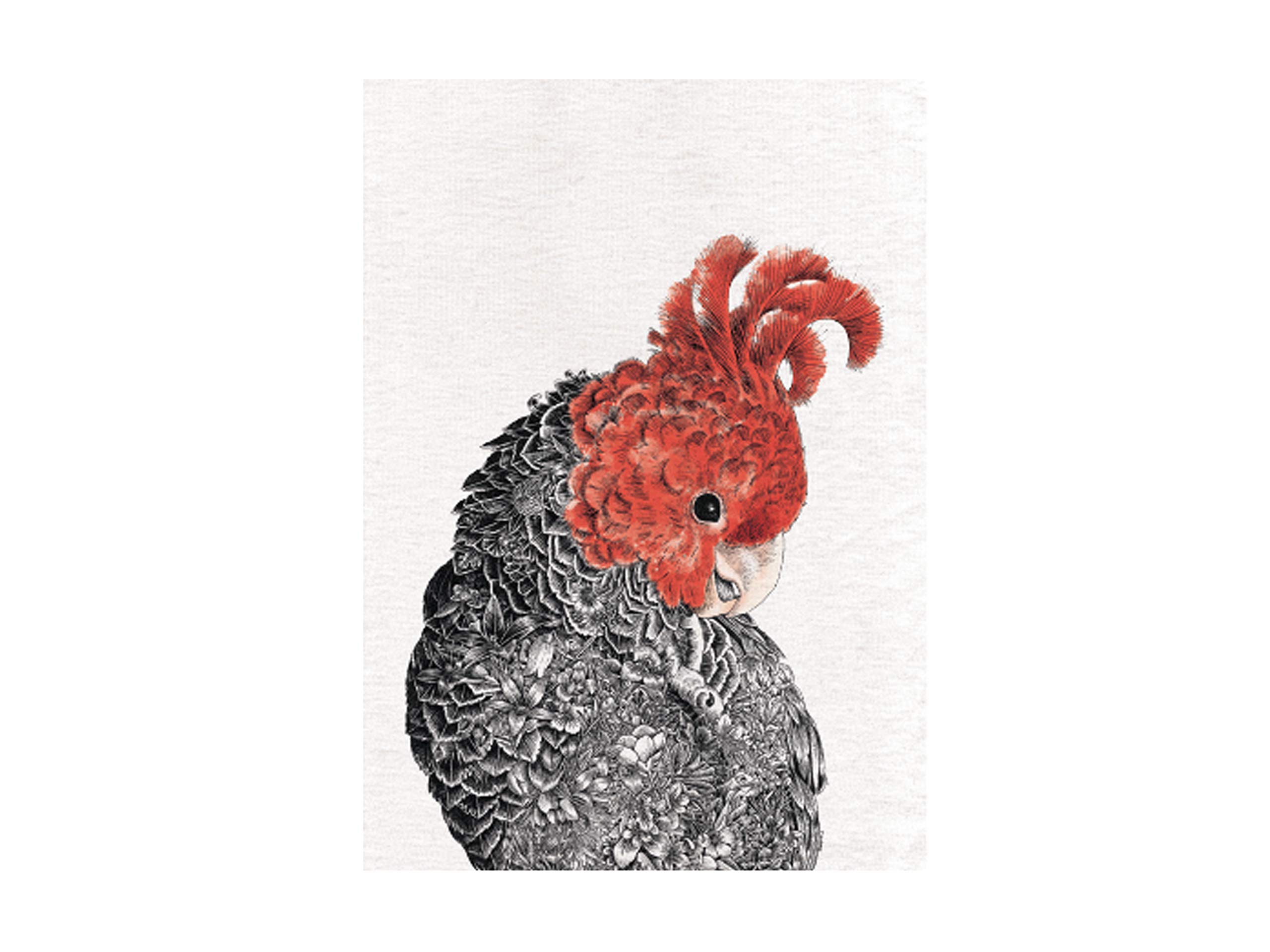 Maxwell & Williams Marini Ferlazzo Birds Printed Tea Towel with Gang Gang Cockatoo Design, 1% Cotton, Black/White, 5 x 7 cm — image 1