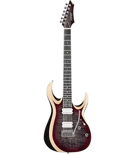 Amazon.com: Cort 6 String Electric Guitar, Right, Polar Ice Burst