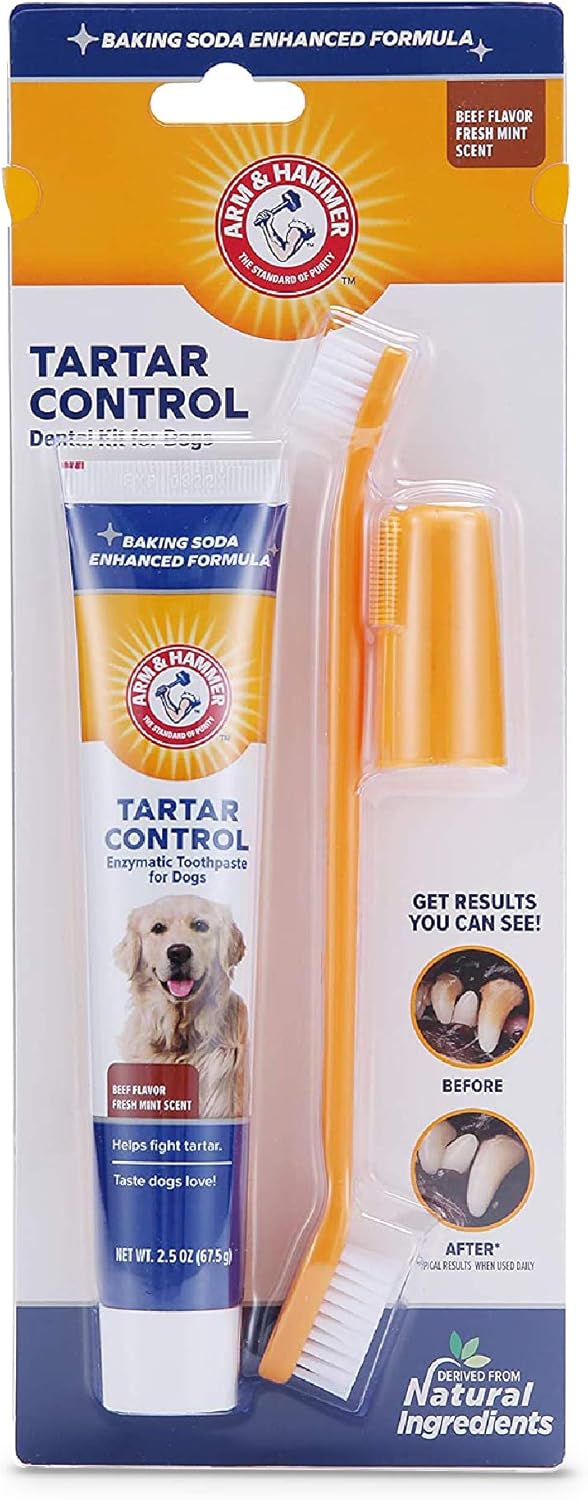 Arm & Hammer for Pets Dog Dental Care Fresh Breath Kit for Dogs : Pet Toothpastes : Pet Supplies