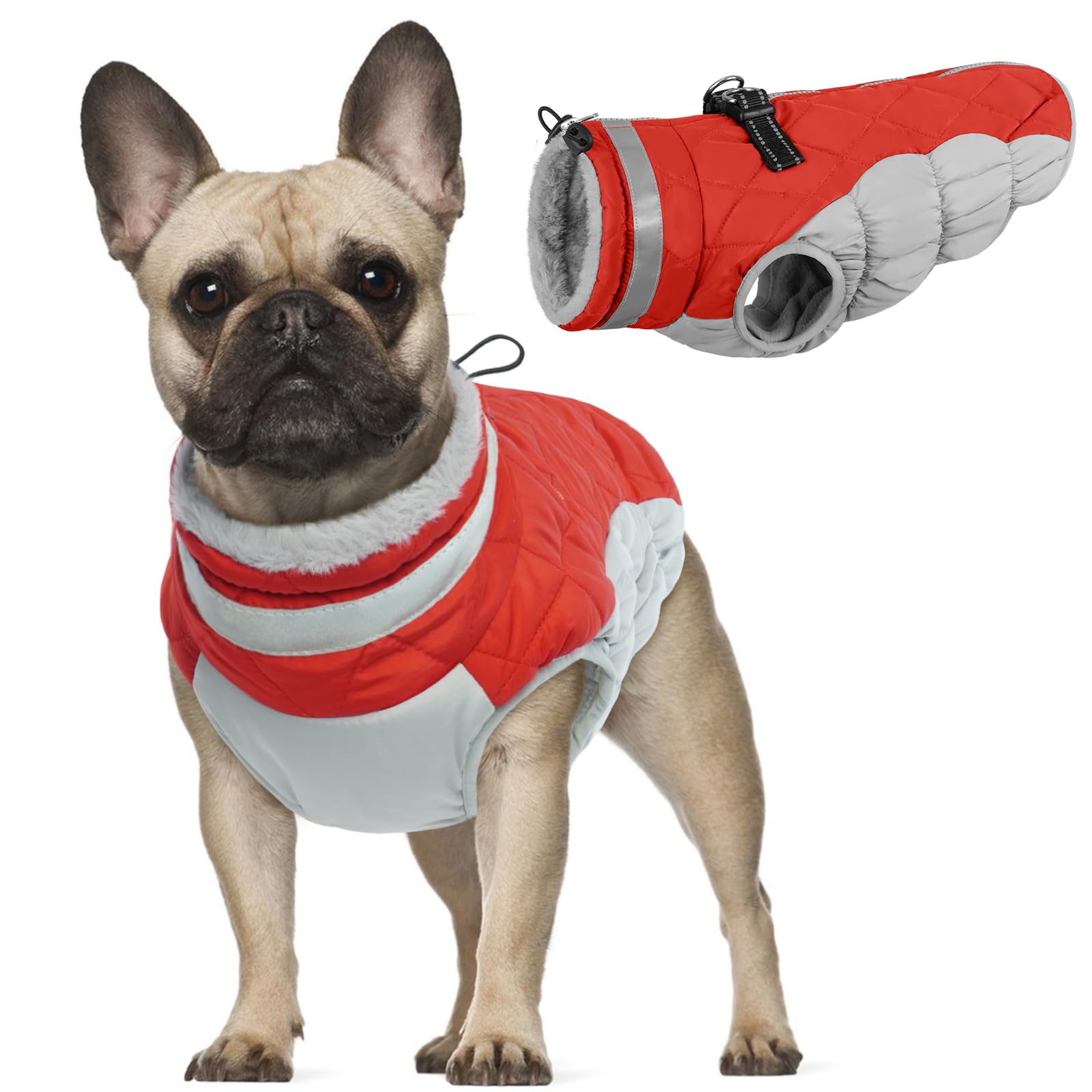 Small Dog Winter Clothes, Waterproof Winter Jacket Small Dog Sport Coat Warm Cozy Vest Windproof Apparel Snow Coat with Reflective Strips & D-Ring(Red, S)