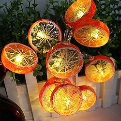 LEKIBOP Fruit String Lights Battery Powered Indoor
