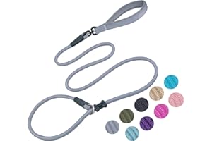 MOTAITY Slip Lead Dog Leash(6ft)，Strong Nylon Rope Leash Anti-Choking Anti-Pull and Outdoor Walking Training Lead for Small Medium Large Dogs (Grey, 1/2"×6ft)