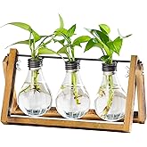 Marbrasse Plant Propagation Stations with Wooden Stand, Desktop Plant Terrarium Holder Bulb Vase, Glass Vase Container with Metal Swivel Holder for Hydroponics of Home Garden Office Decor Lover Gifts