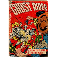 The Ghost Rider #14 book cover