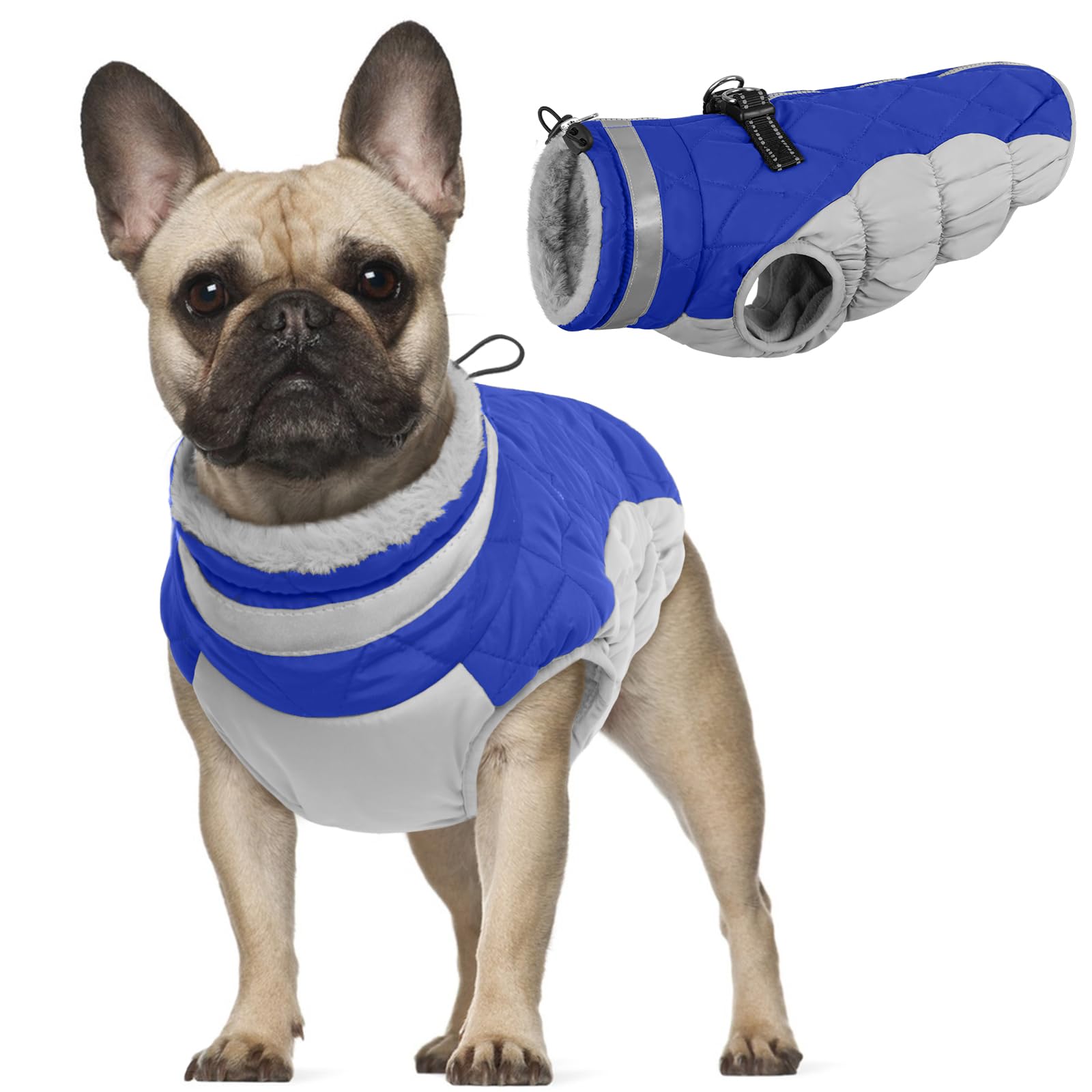 Winter Dog Coat for Small Dogs, Waterproof Warm Fleece Jacket with Reflective Strips, Cold Weather Puppy Hoodie for Outdoor Walking(Blue, XS)