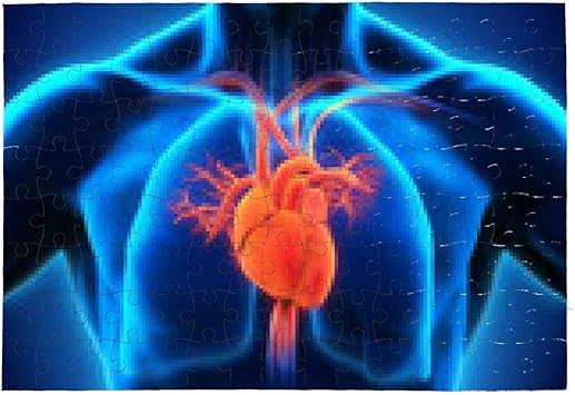 Puzzle Anatomia Del Cuore Umano Gli Altri Vedi Elenco Qui Sotto Amazon It Giochi E Giocattoli