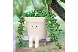 CEOJPA Small Swing Face Hanging Planter Pot for Indoor Outdoor Plants, Cute Swinging Plant Pot, Hanging Flower Pots, Face Planter Pot Head, Resin Succulent Planter (Plant Pot-Straight)