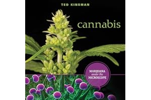 Cannabis: Marijuana under the Microscope