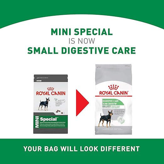 royal canin digestive care small dogs