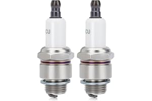 WETENEX RJ19LM Spark Plug for Champion RJ19LM J19LM Brigs Straton 796112 796112S 802592 5095K NGK B2LM Spark Plug 2 PACK