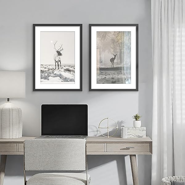 PEALSN 20X28 PICTURE FRAME SET OF 2, DISPLAY PICTURES 16 X 24 WITH MAT OR 20 X 28 WITHOUT MAT FOR WALL MOUNTING DISPLAY, POSTER FRAMES, BLACK