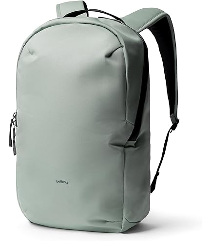 airplane travelling backpack The 14 Best Carry-on Travel Backpacks, Tested and Reviewed
