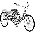 Schwinn Meridian