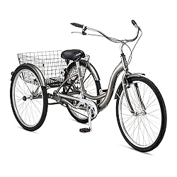 Schwinn Meridian Adult Tricycle Bike, Mens and