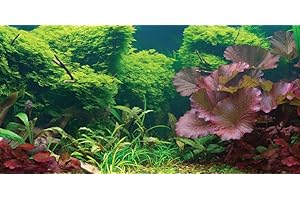 SPORN Aquarium Background, Static Cling, Tropical, 24" x 12"