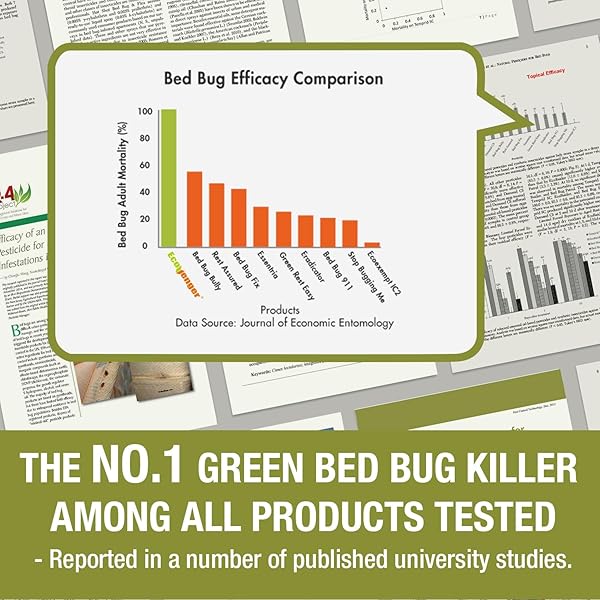 BED BUG KILLER 16 OZ ECOVENGER BY ECORAIDER, 100% KILL EFFICACY, BEDBUGS & MITES, KILLS EGGS & THE RESISTANT, LASTING PROTECTION, USDA BIO-CERTIFIED, PLANT EXTRACT BASED & NON-TOXIC, CHILD & PET SAFE