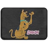 Best outdoor doormat Best outdoor doormat