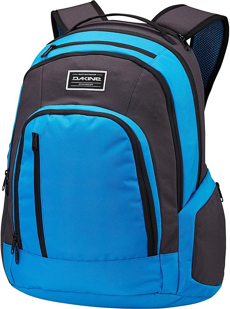 Dakine 101 Pack Laptop Backpack Amazon.ca Sports & Outdoors