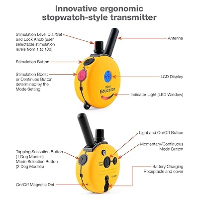 off leash training e collar