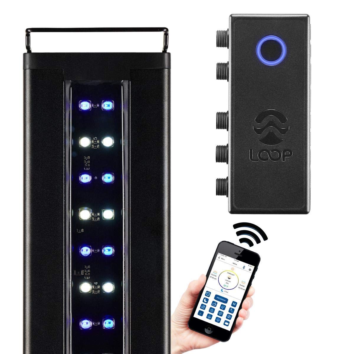 CURRENT USA 36-48" Inch Orbit Marine IC LOOP LED Saltwater Reef Marine Aquarium Light with Bluetooth App Control | Wireless Lighting & eFlux Wave Pump Control for Fish Tank (4206)