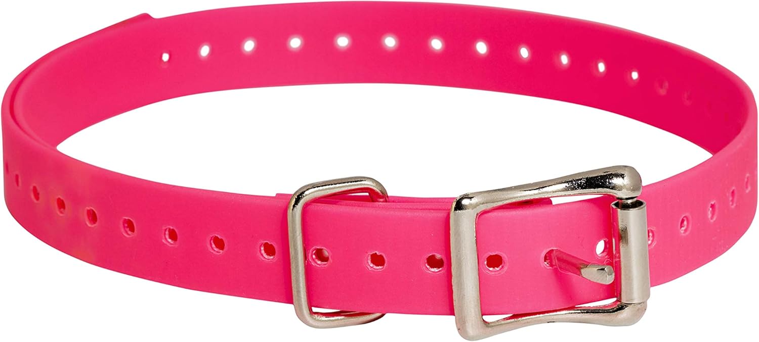 sportdog replacement collar strap