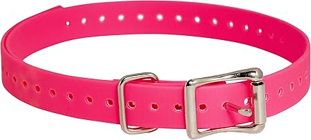 sportdog replacement collar amazon