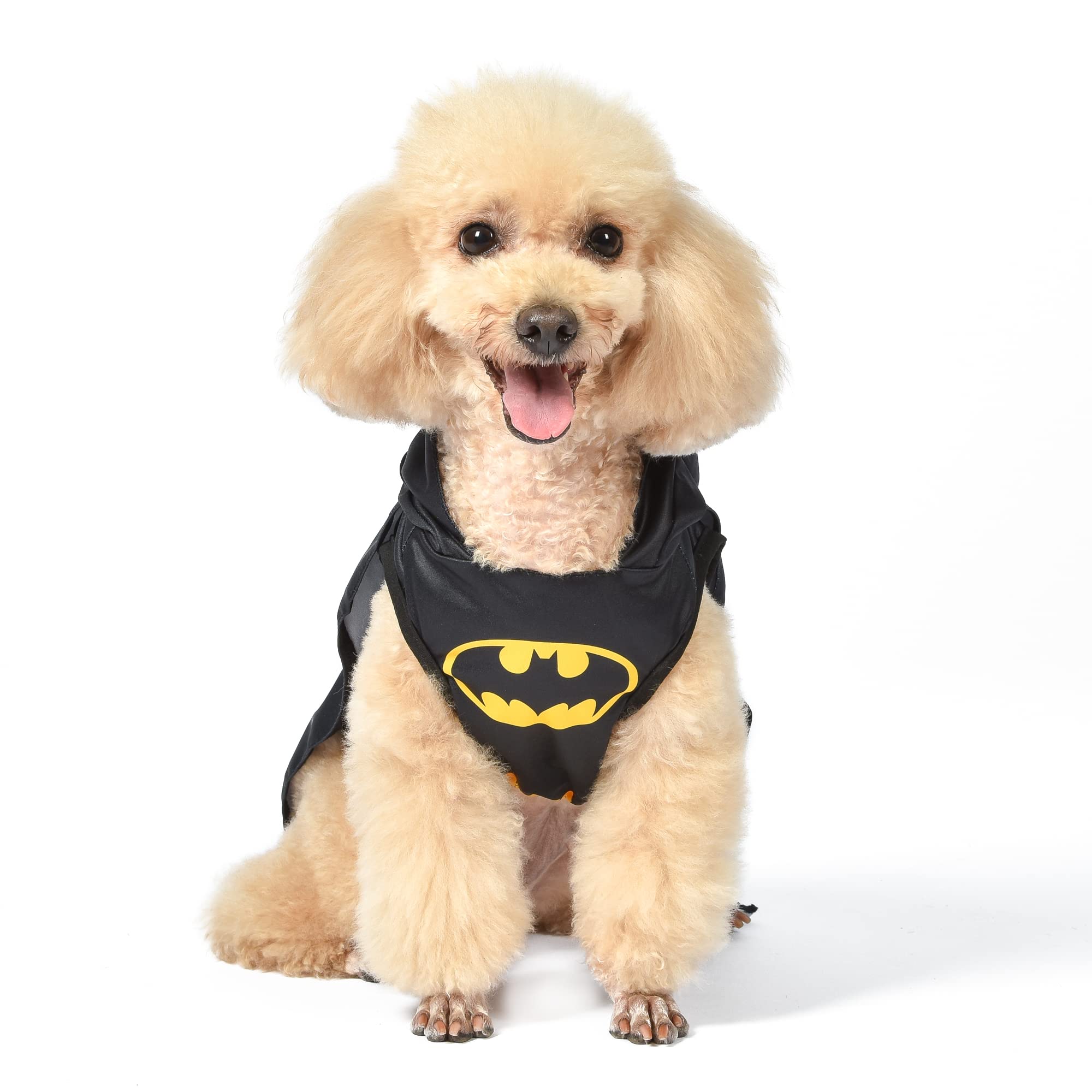 Photo 1 of DC Comics Batman Dog Costume, Size Small | Best DC Comics Batman Halloween Costume for Small Dogs | Funny Dog Costumes | Official Batman Costume for Pets Halloween