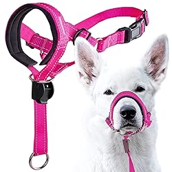 GoodBoy Dog Head Halter with Safety Strap - Stops