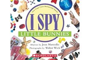 I Spy Little Bunnies (with foil): A Book of Picture Riddles
