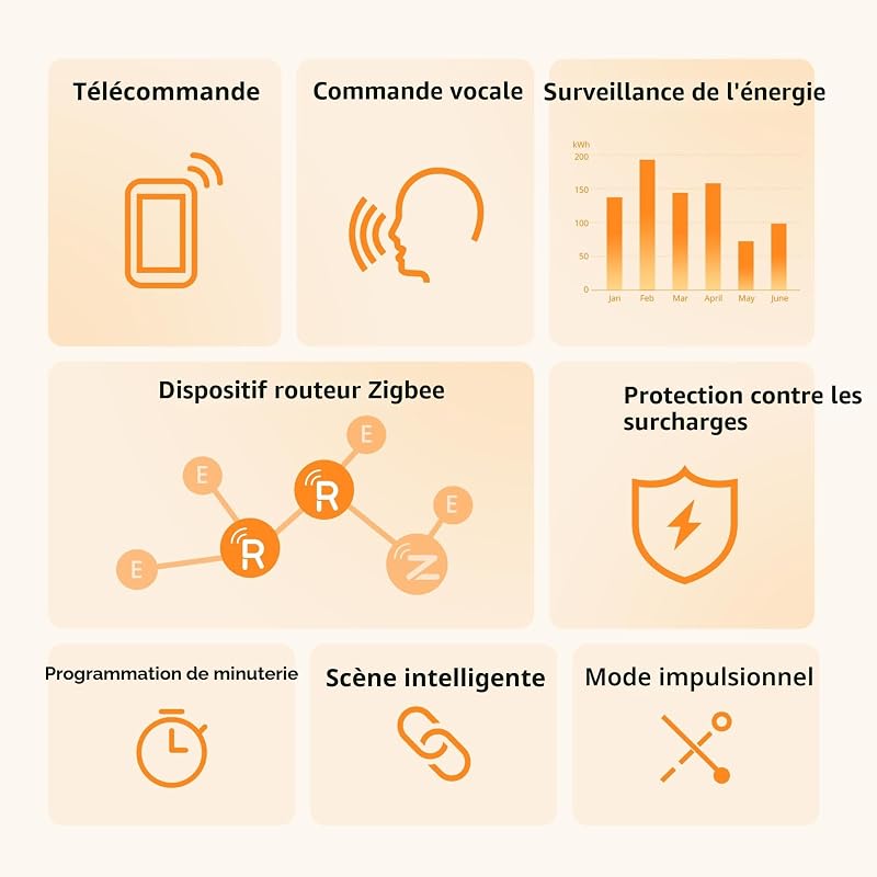 S60ZBTPF Prise Intelligente Zigbee à relais, Blanc/Gris, Contrôle à Distance, Suivi Énergétique, Programmation, Protection contre les Surcharges, Répéteur, eWeLink, Hub Requis