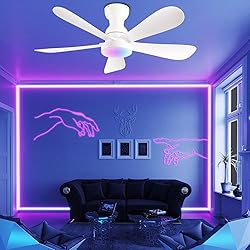 NKPU 42 Inch Ceiling Fans with Lights and