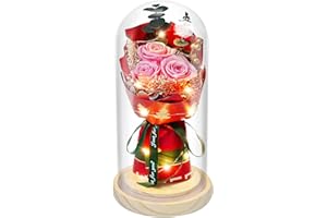 HVY Preserved Flowers in Glass for Her,Pink Real Rose Bouquet with LED Light,Eternal Rose for Women,Wife,Mom,Grandma as Anniversary Birthdays Christmas Valentine's Day Mother's Day,Forever Flowers