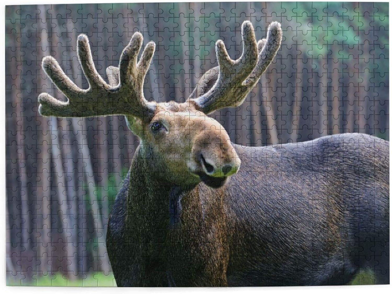 Yhouqukhdeueh Jigsaw Puzzles 500 Pieces,Moose In Their Natural Habitat,Family Large Puzzle Game
