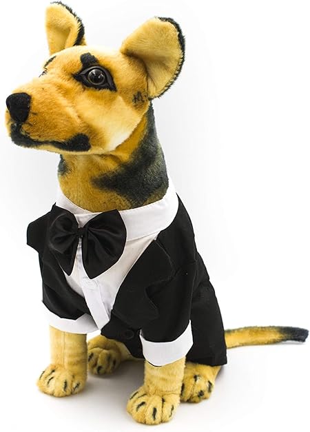 dog wedding attire ring bearer