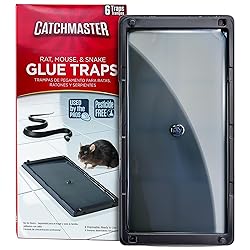 Catchmaster Rat, Snake and Mouse Traps 6Pk, Large