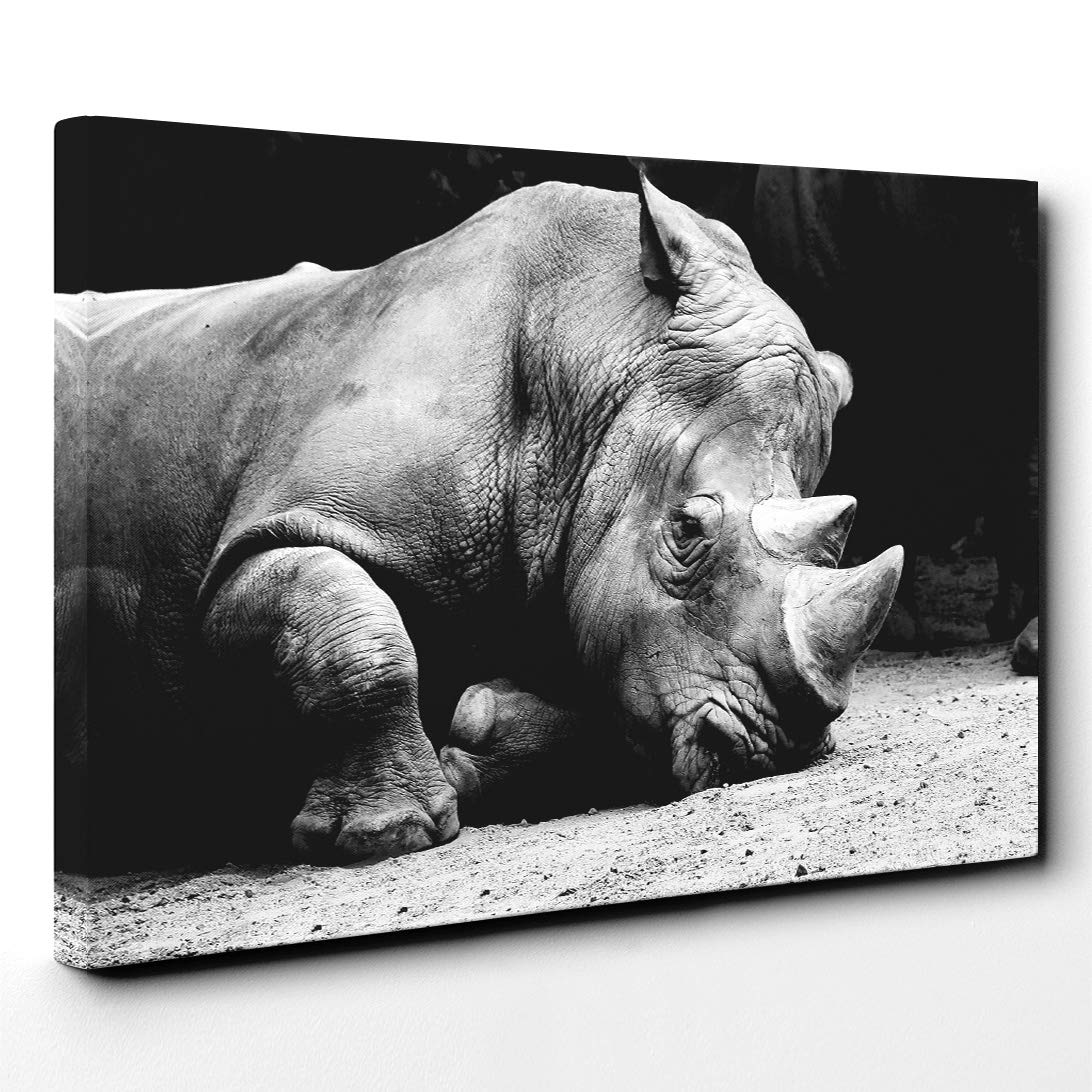 Rhino Canvas Print | Gallery Wrapped 30mm Frame Wall Art | 20x14 inches | Ready to Hang | Modern Picture | Living Room Bedroom Lounge Office