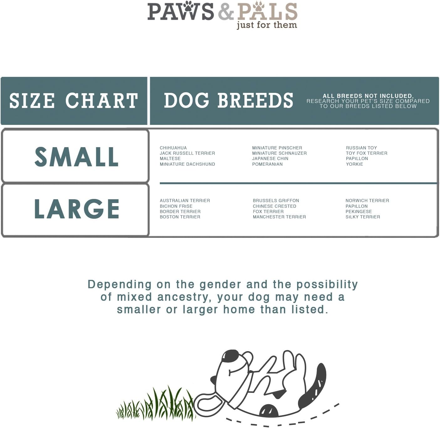 Paws & Pals Airline Approved Pet Carrier - Soft-Sided Carriers for Small Medium Cats and Dogs Air-Plane Travel On-Board Under Seat Carrying Bag with Fleece Bolster Bed for Kitten Cat Puppy Dog Taxi : Pet Supplies