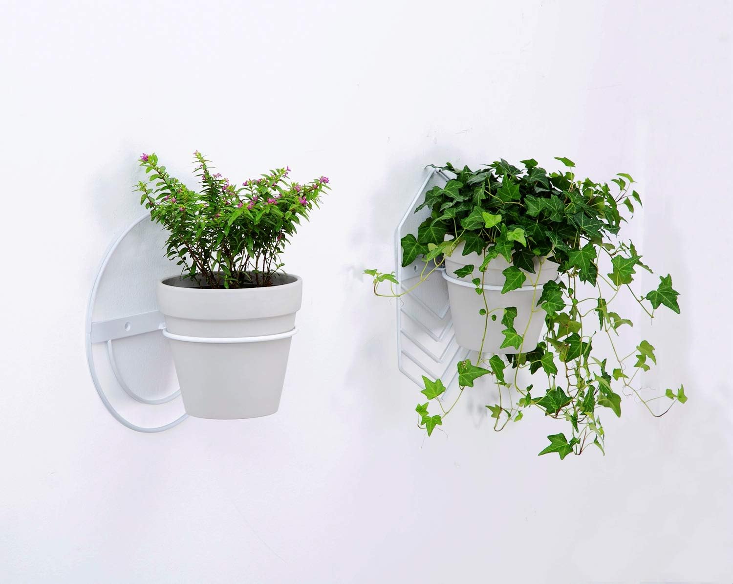 2 Pcs 6 inch Flower Pot Holder Ring Wall Mounted,Metal Flower Pot Ring