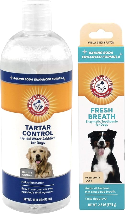 baking soda and water dog toothpaste
