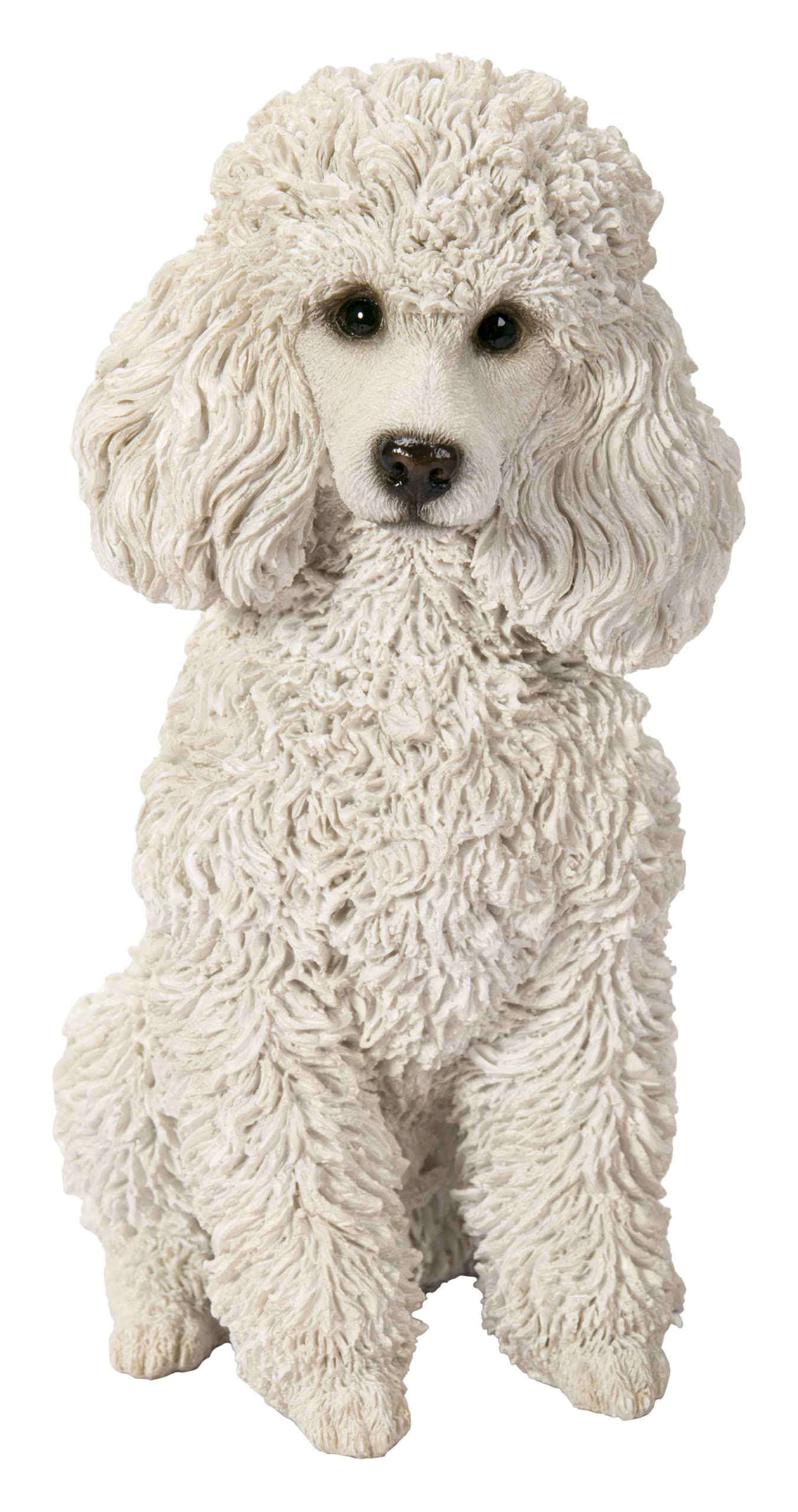Vivid Arts (Poodle Sitting White