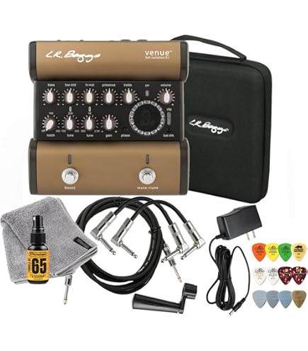 Amazon.com: LR Baggs Venue DI Direct Box Footpedal Tuner w/ 4