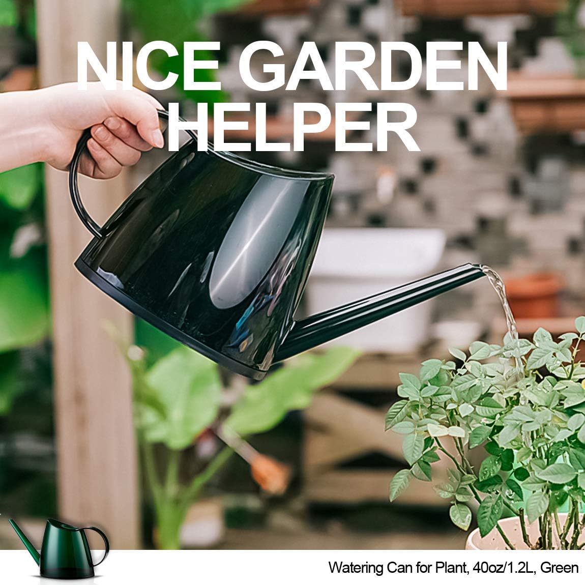 WhaleLife Indoor Watering Can for House Bonsai Plants Garden Flower Long Spout 40oz 1.4L 1/3 Gallon Small Modern Green : Garden & Outdoor