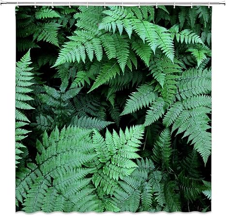 Amazon Qdylm 緑のシダの葉装飾シャワーカーテン熱帯植物の森 72x72インチ防水ポリエステル生地バスルームアクセサリーカーテン12ピースフック シャワーカーテン ホーム キッチン オンライン通販
