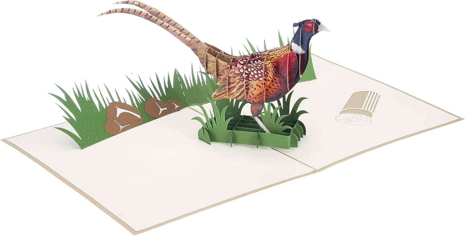 Cardology - Pheasant Shooting Pop Up Card, brown, 15cm x 20cm - Image 5