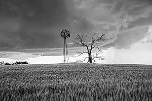 SOUTHERN PLAINS PHOTOGRAPHY Country Photography Print (Not Framed) Black and White Picture of Windmill and Tree in Wheat Field as Storm Approaches in Oklahoma Farm Wall Art Farmhouse Decor (12" x 18")