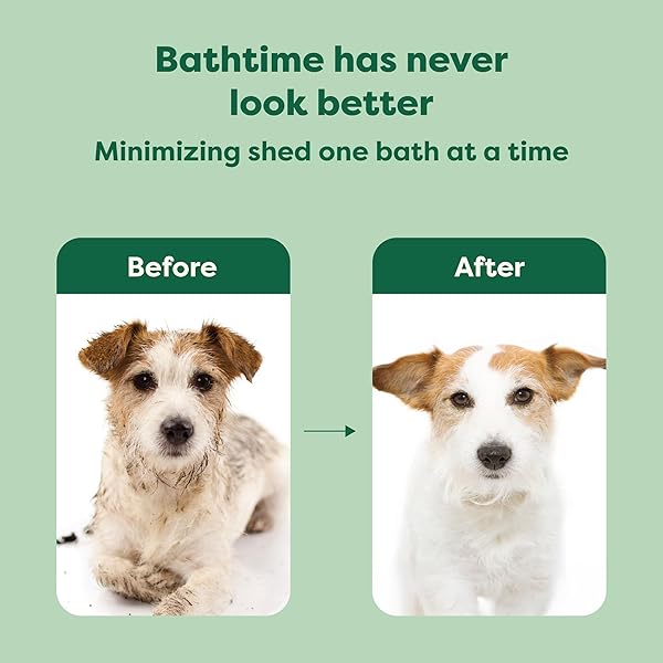 EARTH RATED 3-IN-1 DESHEDDING DOG SHAMPOO AND CONDITIONER, DEODORIZING OATMEAL SHAMPOOS FOR DOGS AND PUPPIES, GREAT FOR SMELLY PETS, WHITE TEA AND BASIL SCENT, 16 OZ